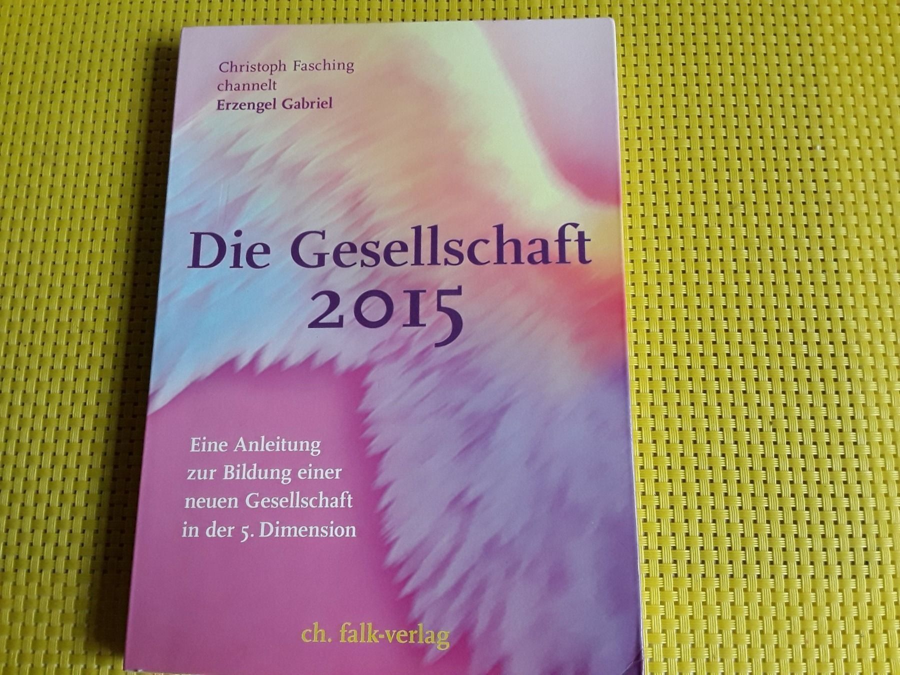Bücher: Die Gesellschaft 2015 – Gebraucht aus Rebstein von Buchsi03