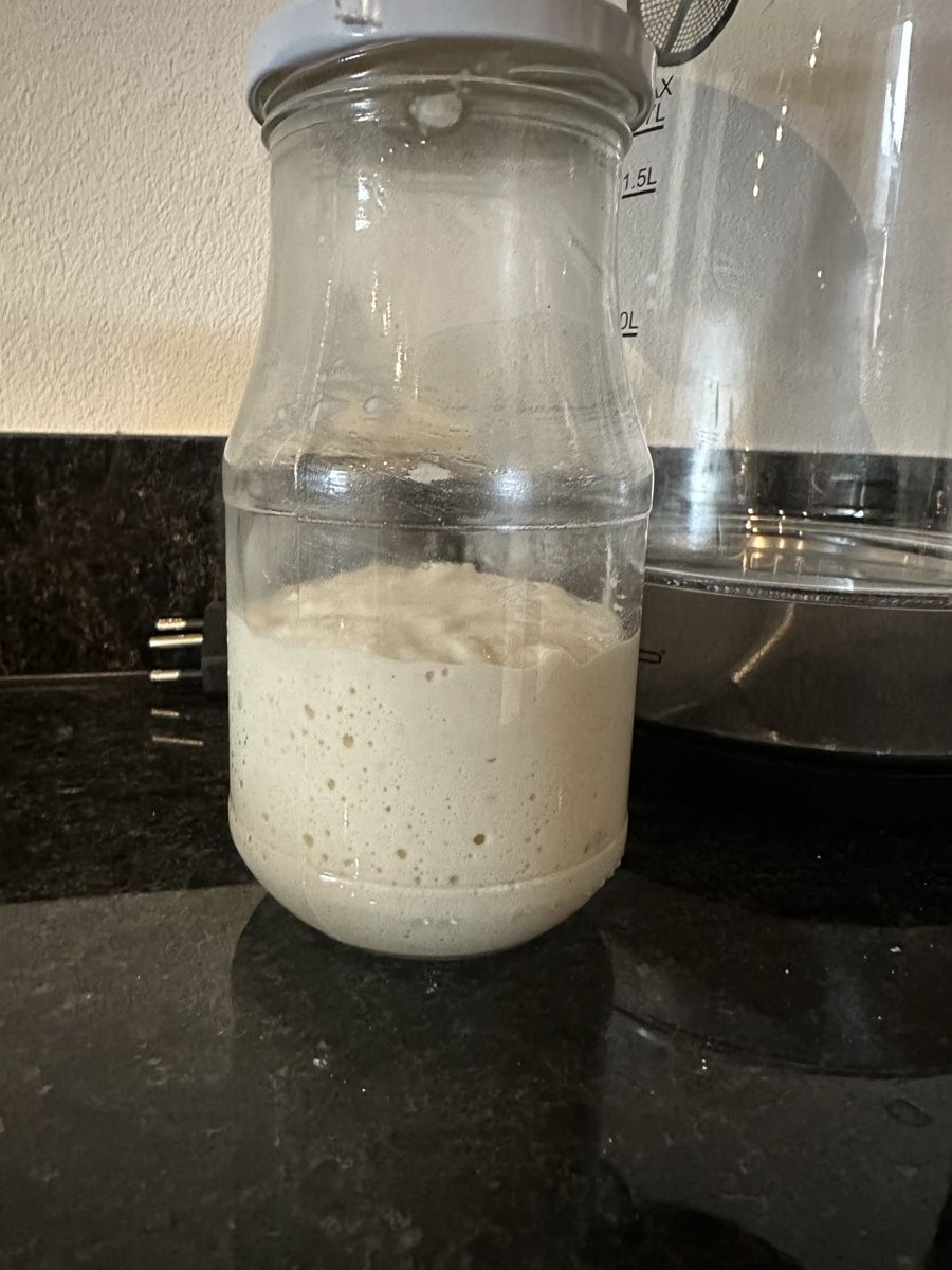 Cibi & Specialità: Frischer Sauerteig-Starter🌾  – Nuovo (secondo la descrizione) da Subingen venduto da sel_gzr9