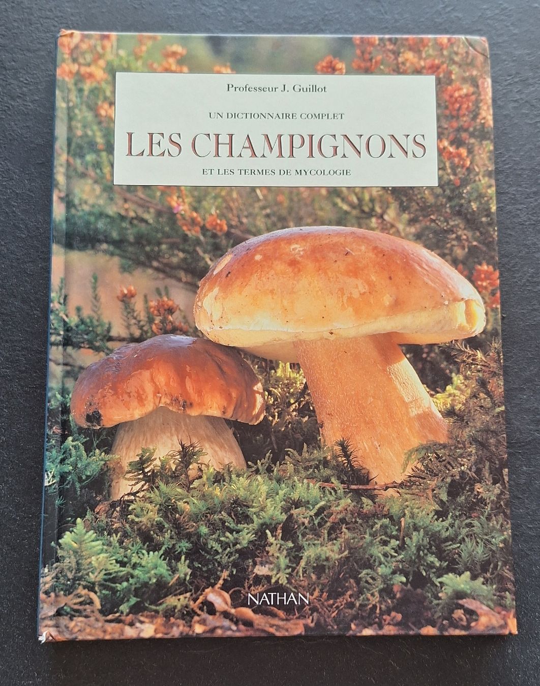 Libri: 2 livres sur les champignons – Usato da Monthey venduto da ditty 1