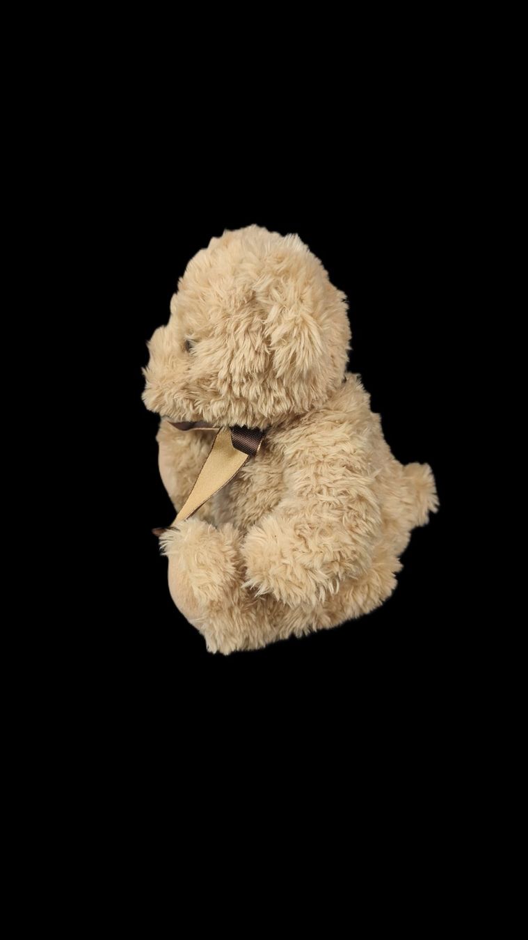 Giocattoli: Teddybär Keel Toy – Usato da Pratteln venduto da Restwert_Pratteln 3