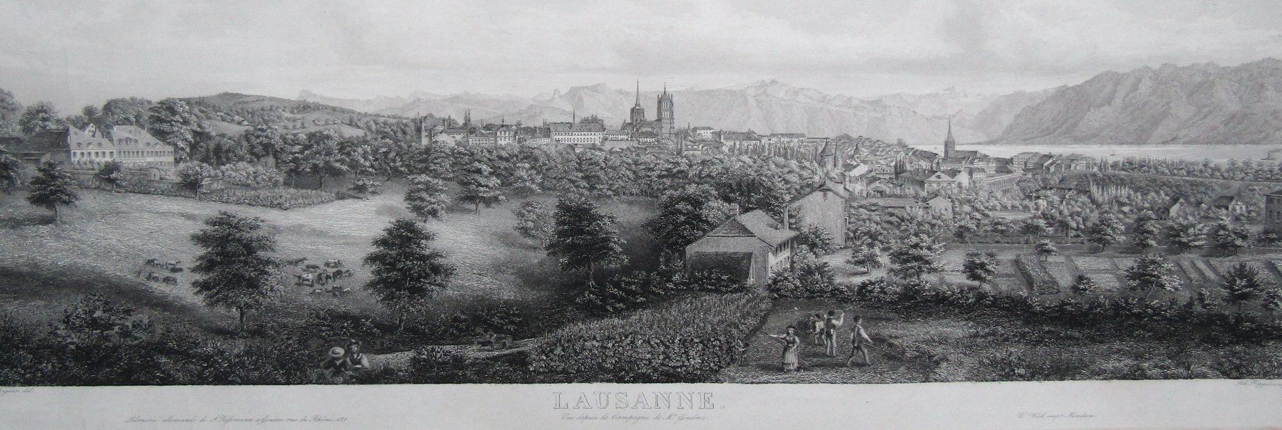 Stiche: Lausanne grosses Panorama von Wegelin selten – Gebraucht aus Rafz von Helvet32 1