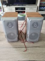 United Lautsprecher Boxen MIC5212