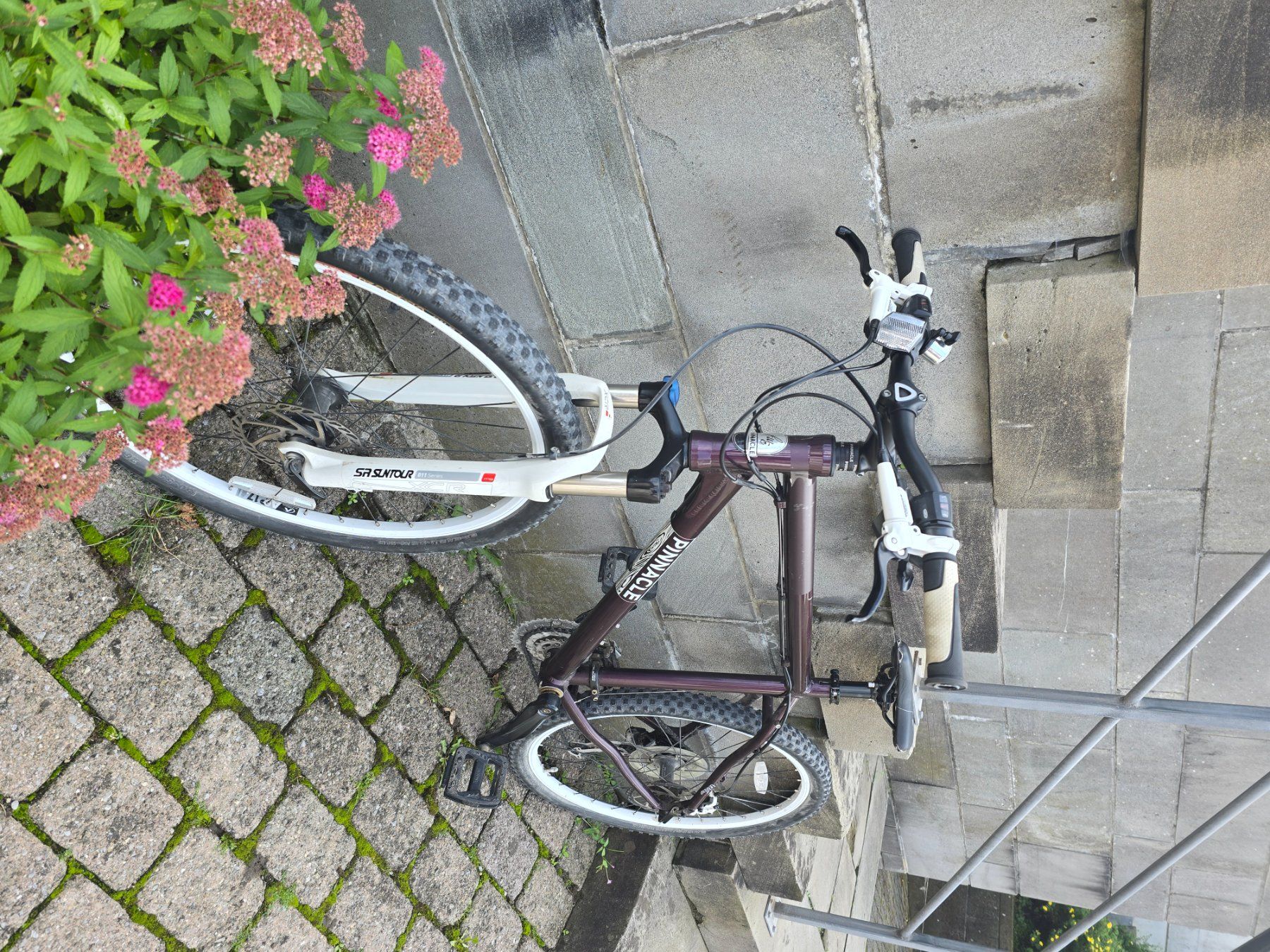 Pinnacle Biciclette: Fahrrad Velo Pinnacle – Usato da Maur venduto da pet_v5jw 1