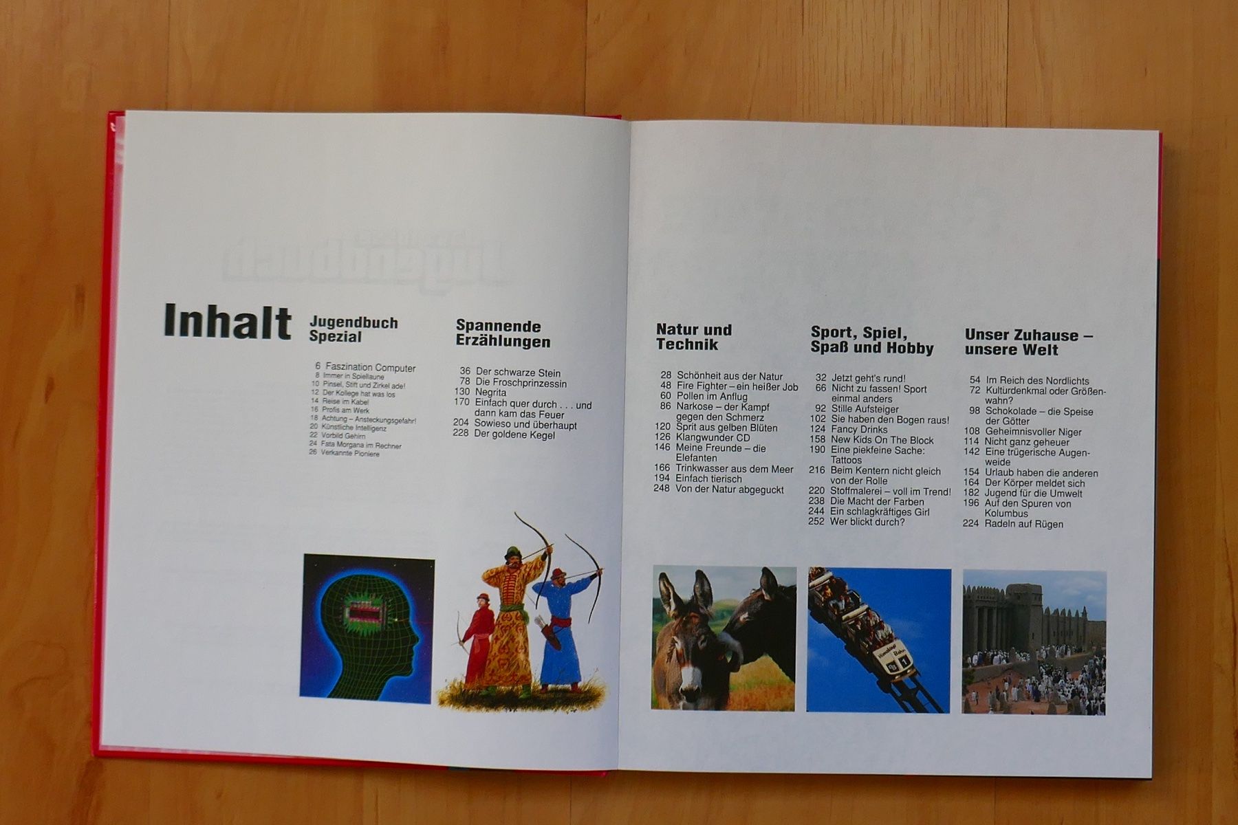 Bücher: Für Wissenshungrige: "Das grosse Jugendbuch" (rot) – Gebraucht aus Uetendorf von sru128 1