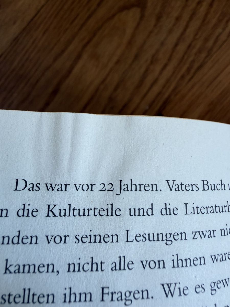 Libri: Simone Meier - Die Entflammten – Usato da Zürich venduto da chi_9dfb 4
