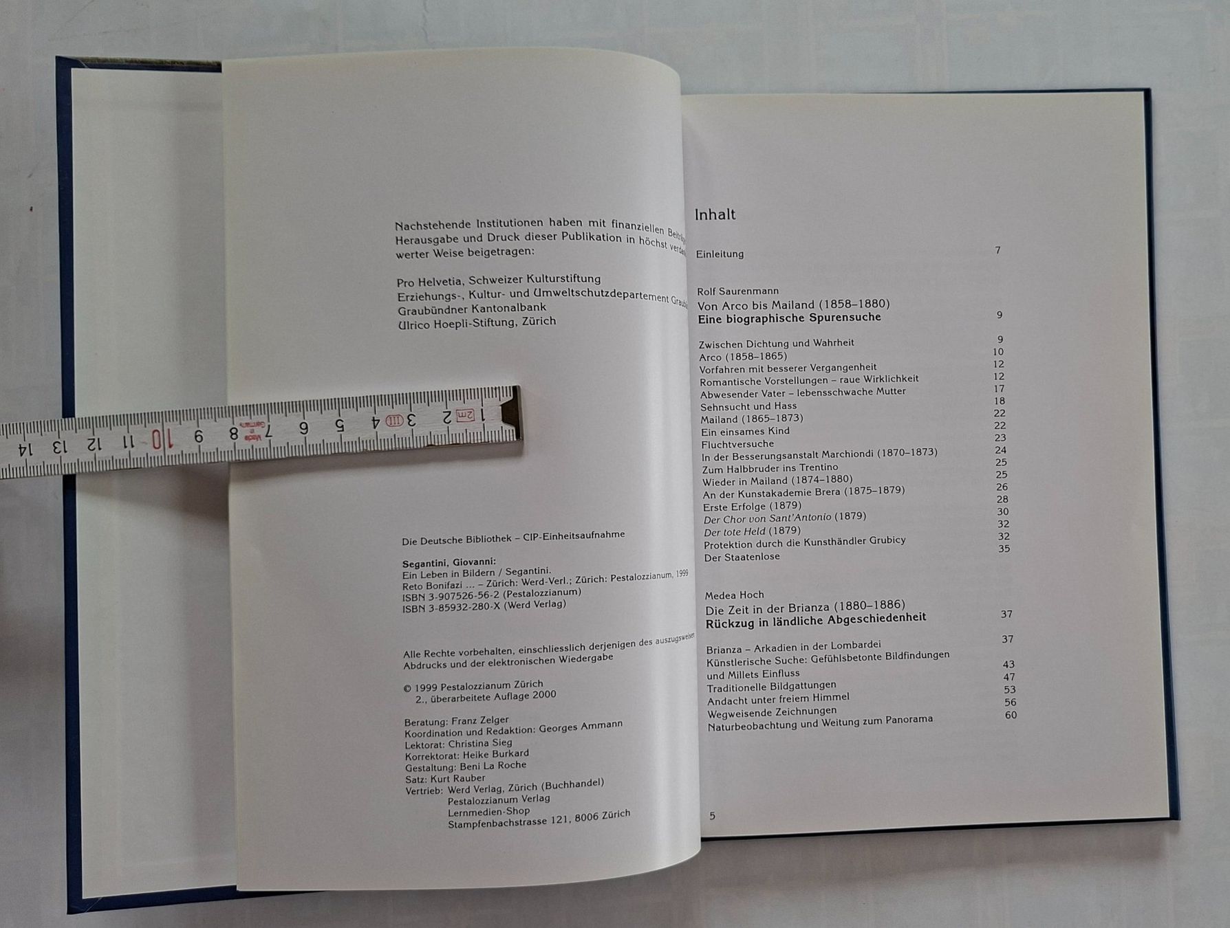 Livres: Segantini: Ein Leben in Bildern - Kunstbuch Schweiz – D'occasion à Opfikon par Diversamente 2