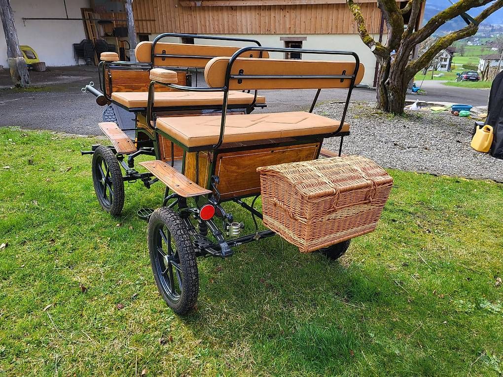 Carrozze: Neuwertige Kutsche Jagdwagen Pony oder Esel – Usato da Rickenbach SZ venduto da Thwe100 3