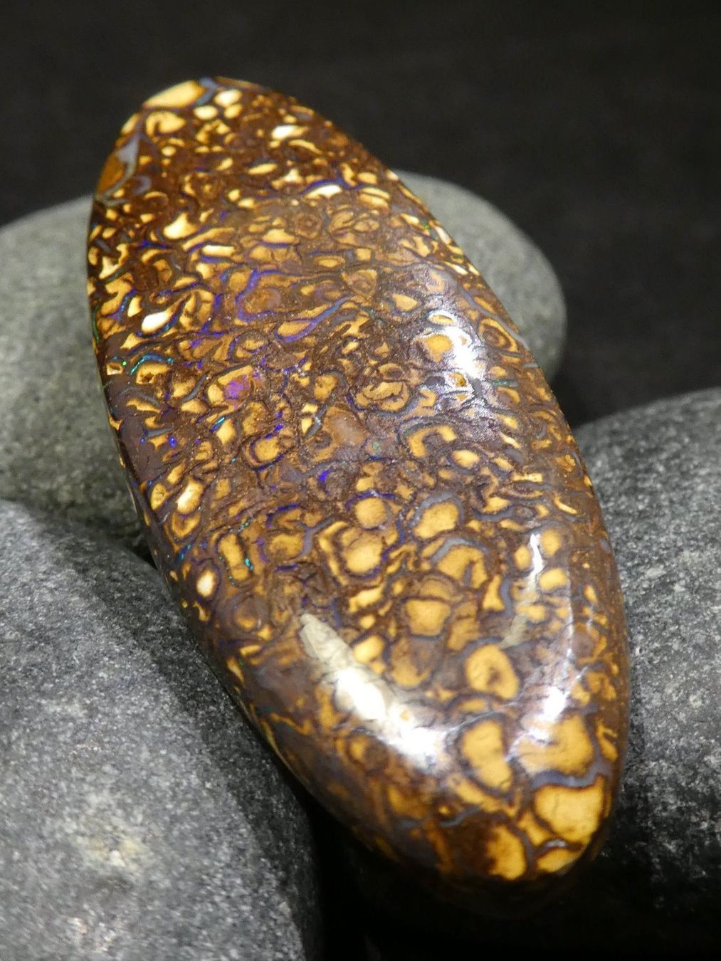 Pietre preziose: Yowah Opal Handschmeichler – Nuovo e nell'imballaggio originale da Niederbüren venduto da Raphael014 2