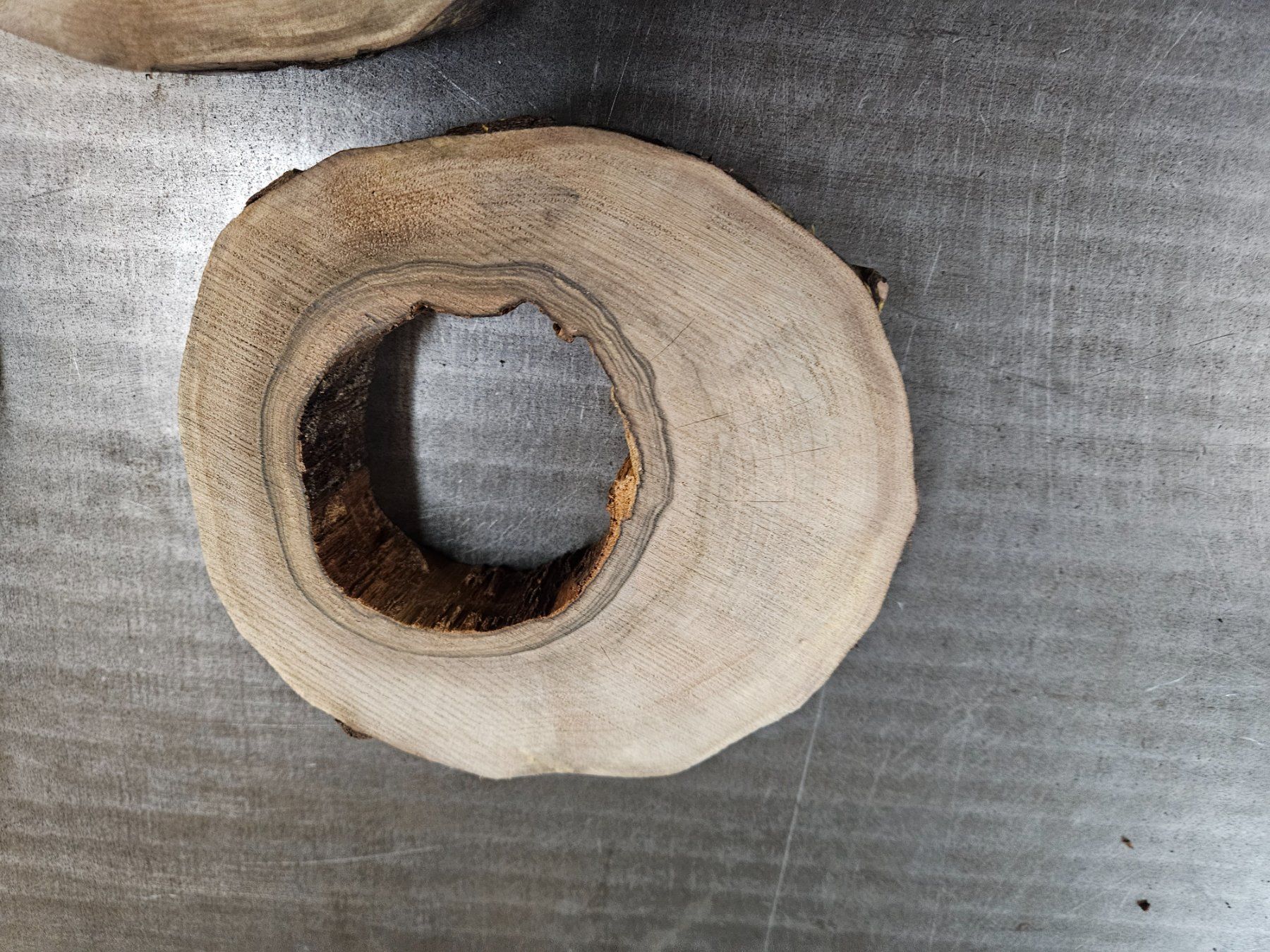Articoli in legno: Nussabum Holz Baumscheiben – Nuovo (secondo la descrizione) da Schangnau venduto da egli6.2 7