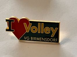 1 Pin Volley VG Birmensdorf