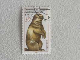 DDR Briefmarken (Gratis-Versand)