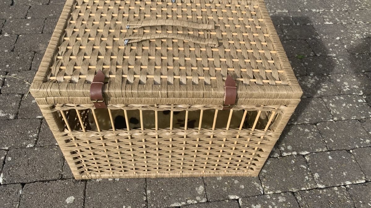 Cucce & Letti: Katzen Transportkorb – Nuovo (secondo la descrizione) da Hindelbank venduto da hirzel02 2