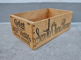 alte Holzkiste Kiste CADET SANTA CLARA PRUNES CALIFORNIA USA