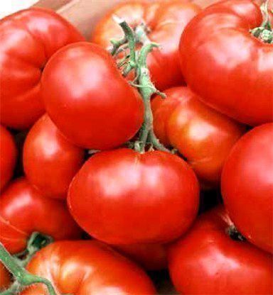 Piante & sementi: 30 Samen HEINZ 1350 Tomate – Nuovo (secondo la descrizione) da Ehrendingen venduto da VerveinaSamen 5
