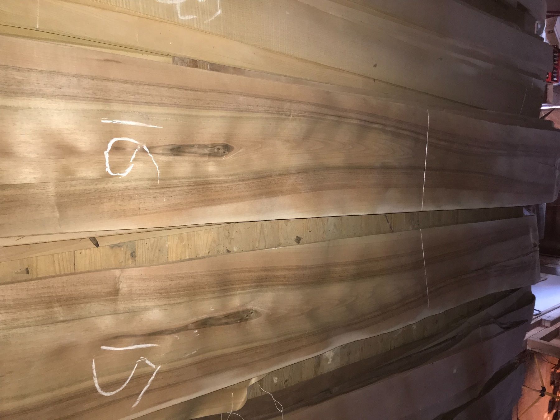 Articoli in legno: Nussbaum Furnier Bund 16 – Nuovo (secondo la descrizione) da Waldkirch venduto da son_wlp2