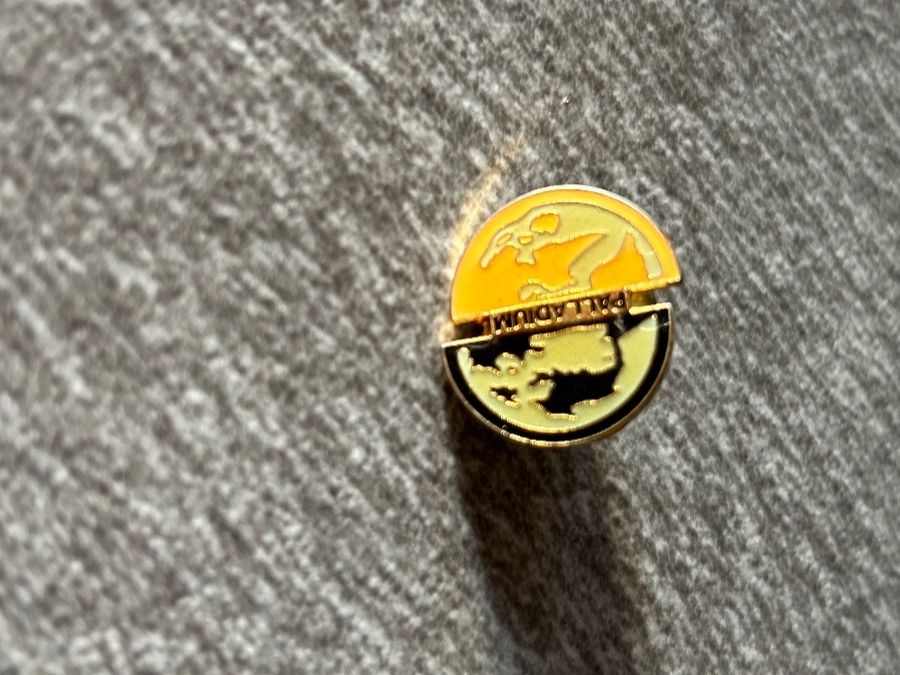 Placchette & Badge: Pin Globus Erde Welt Palladium – Usato da Arbedo venduto da nadia1973