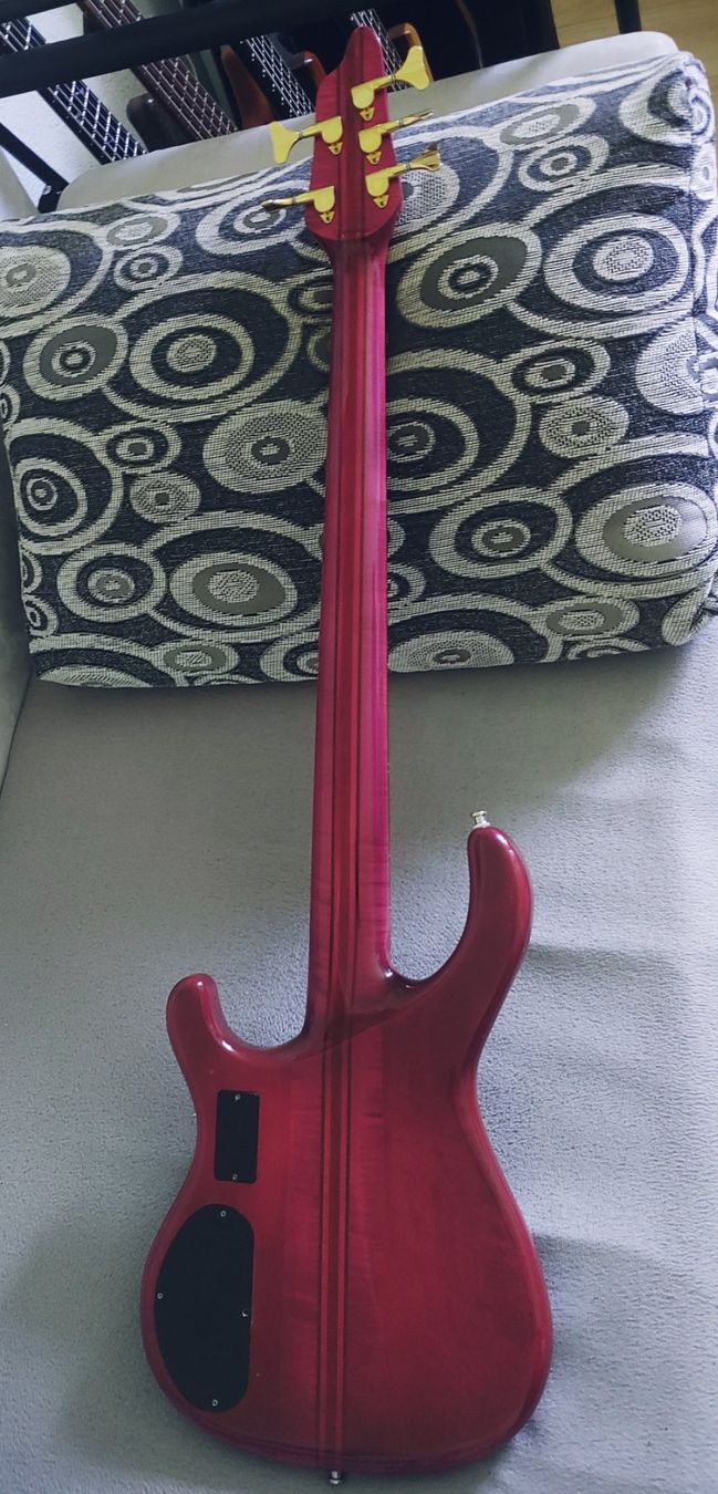 Strumenti musicali: Neuser Courage 5 Bass – Usato da Pratteln venduto da dado1972 5