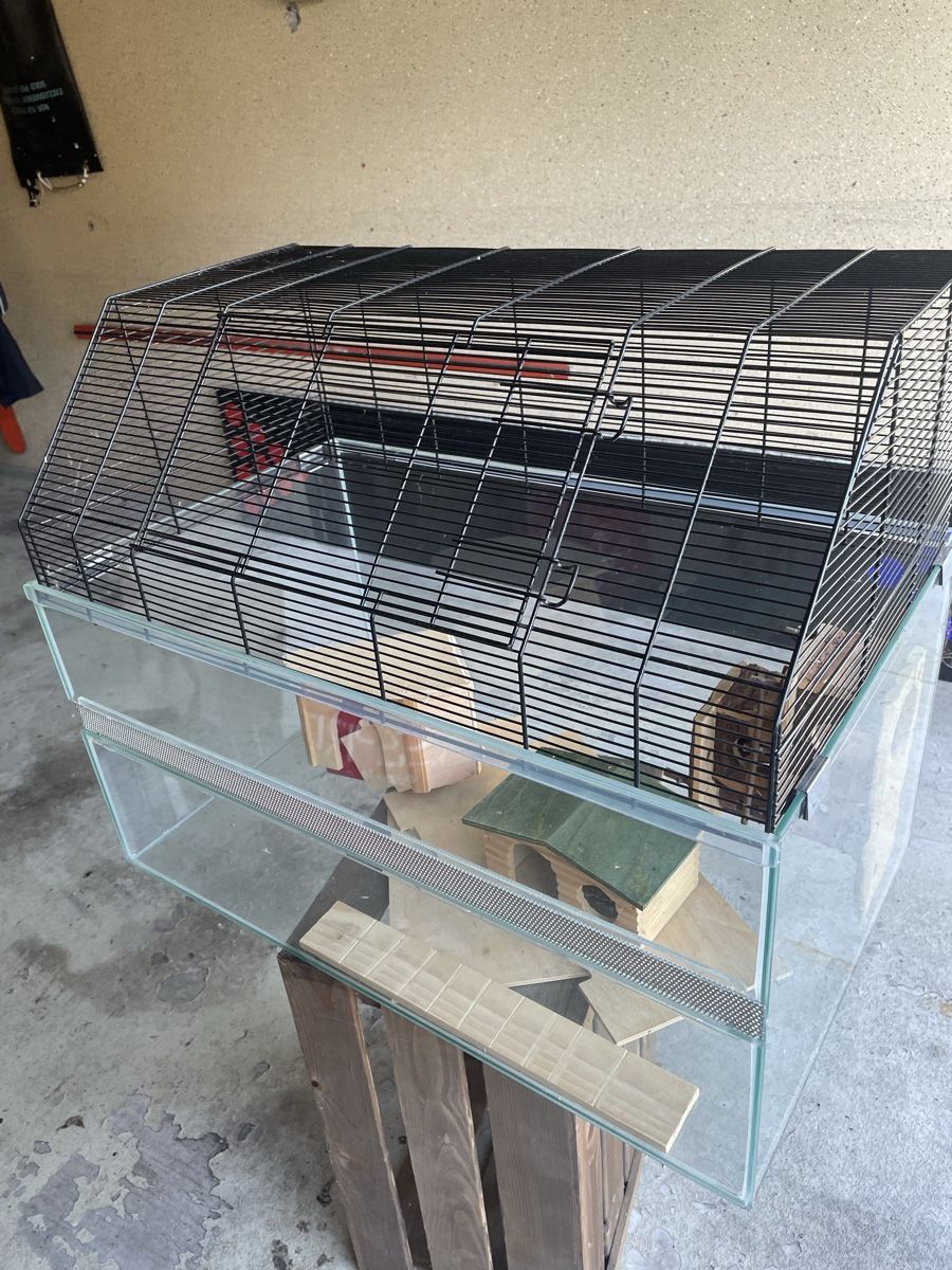 Terrario: Hamsterterarium – Usato da herzogenbuchsee venduto da danny08 3