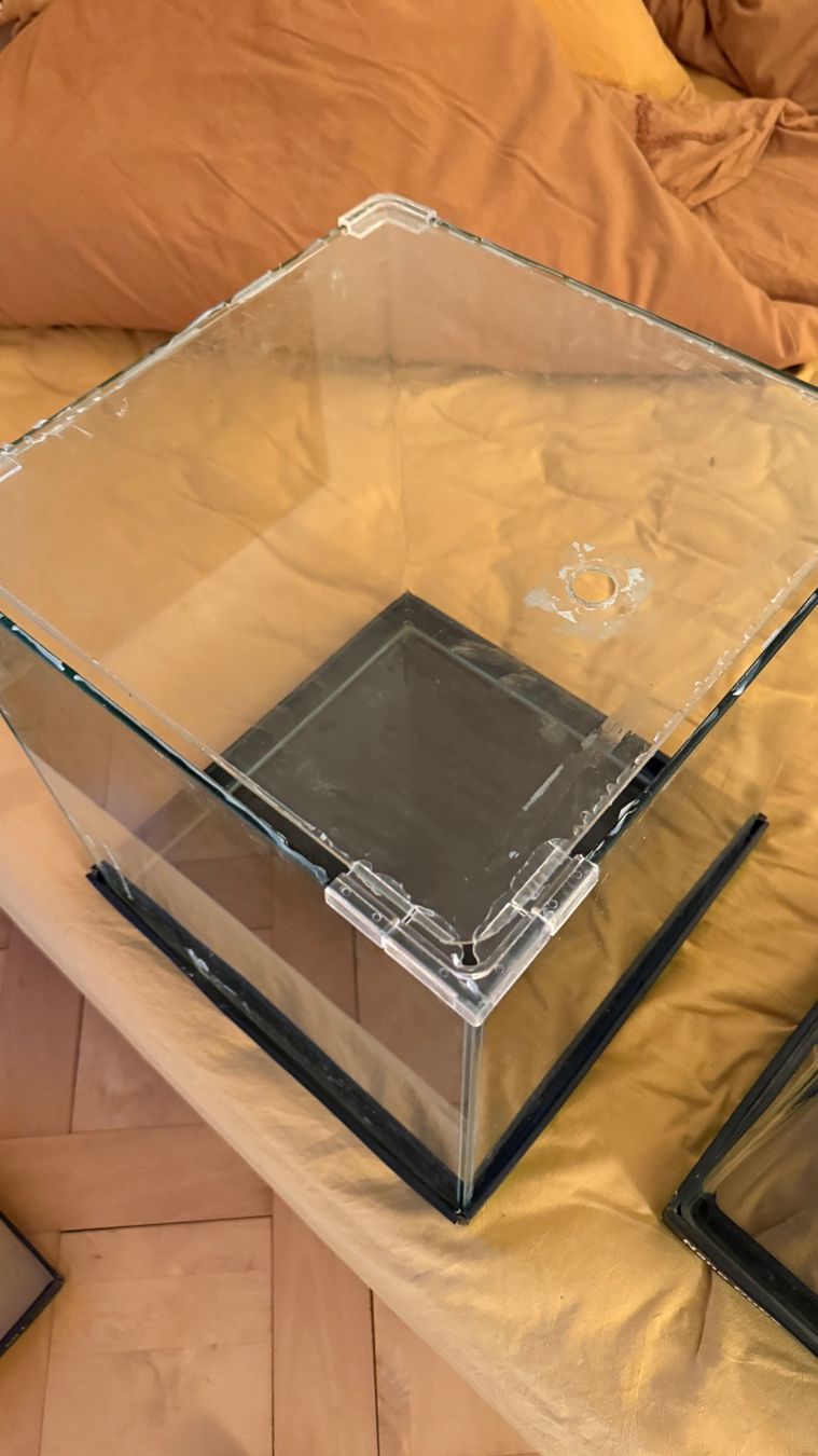 Acquari: 2x 60 Liter Aquarium Dennerle Nano Cube – Nuovo (secondo la descrizione) da Zürich venduto da NorinaAurora 2