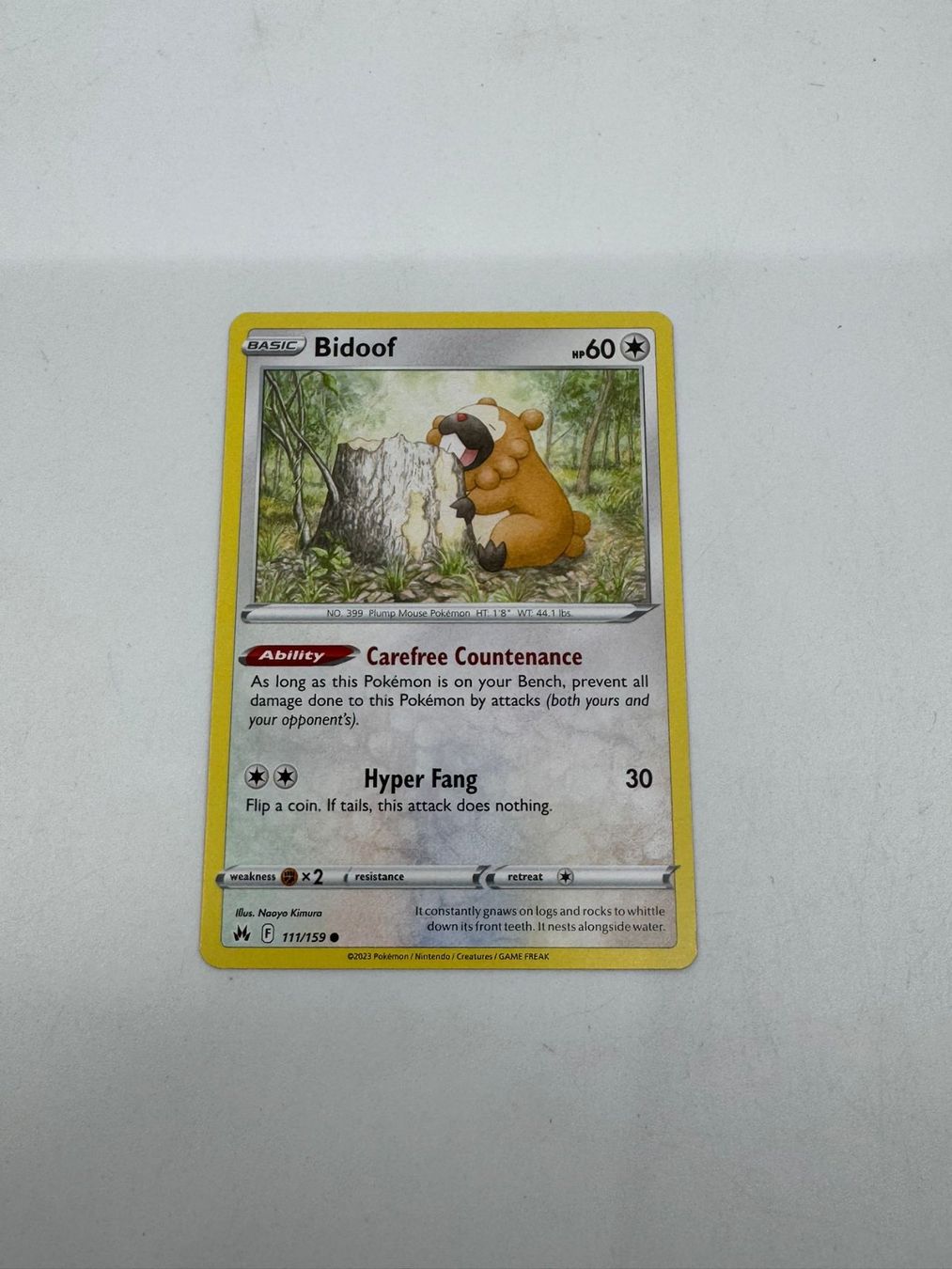 Pokémon Carte collezionabili: Pokemon-Karte Bidoof 111/159 – Usato da Herisau venduto da Seyashop1