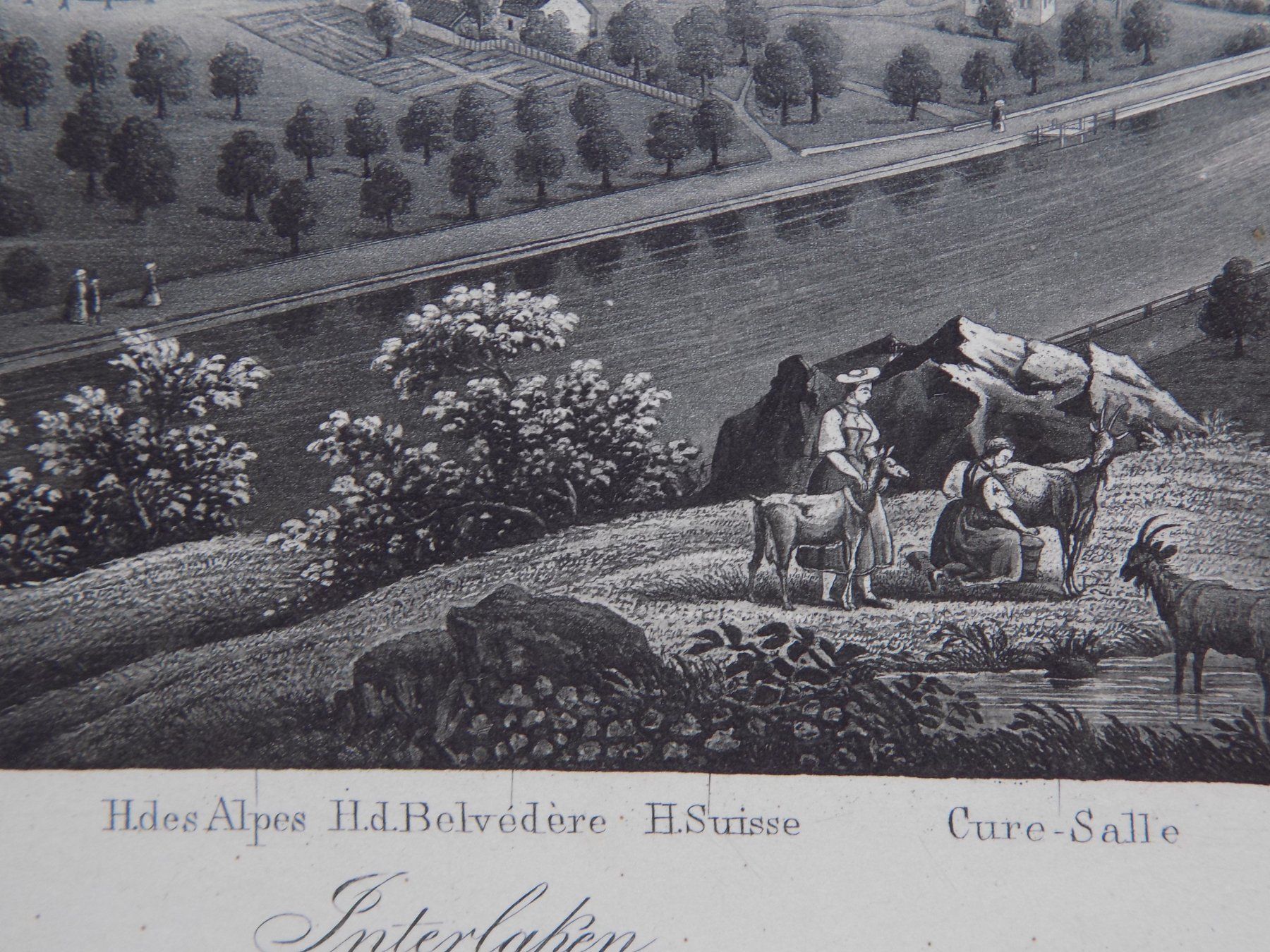 Gravures: Interlaken feine Ansicht von Dikenmann – D'occasion à Risch par Rischli15 4