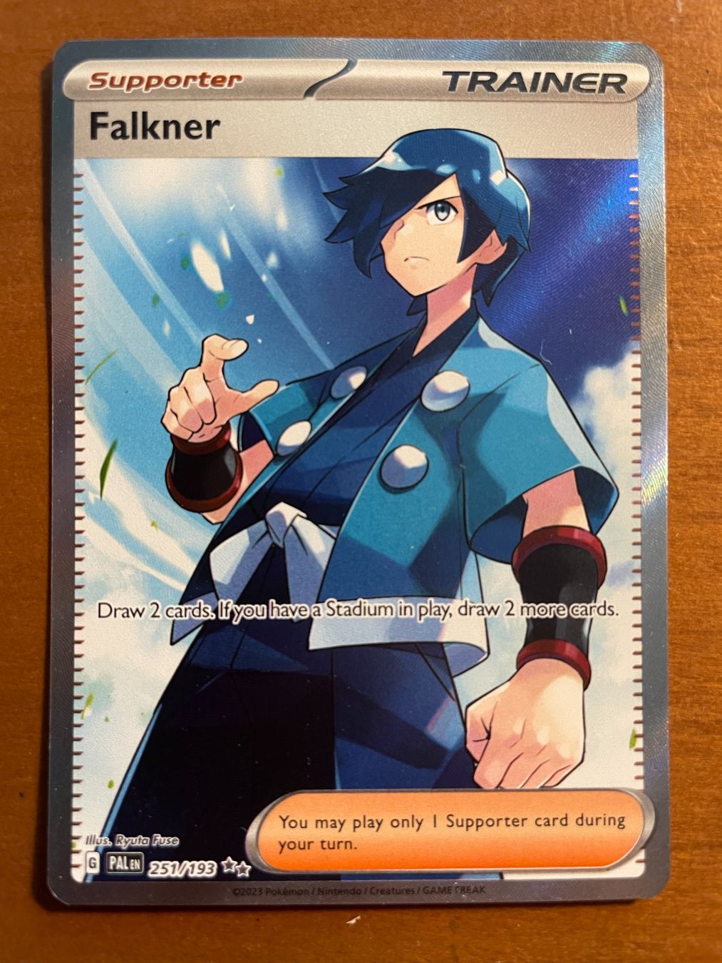 Pokémon Carte collezionabili: Pokemon Falkner (Versand gratis) – Nuovo (secondo la descrizione) da Chur venduto da Angerson
