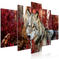 🔥 XXL Format -  Wandbild Wolf neu - gerahmt!