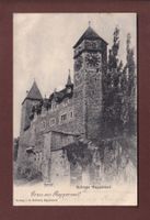 Gruss aus RAPPERSWIL - Schloss - 1903