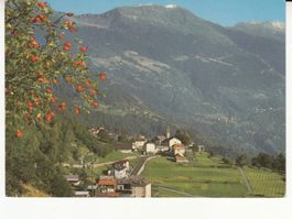 Osco 1993