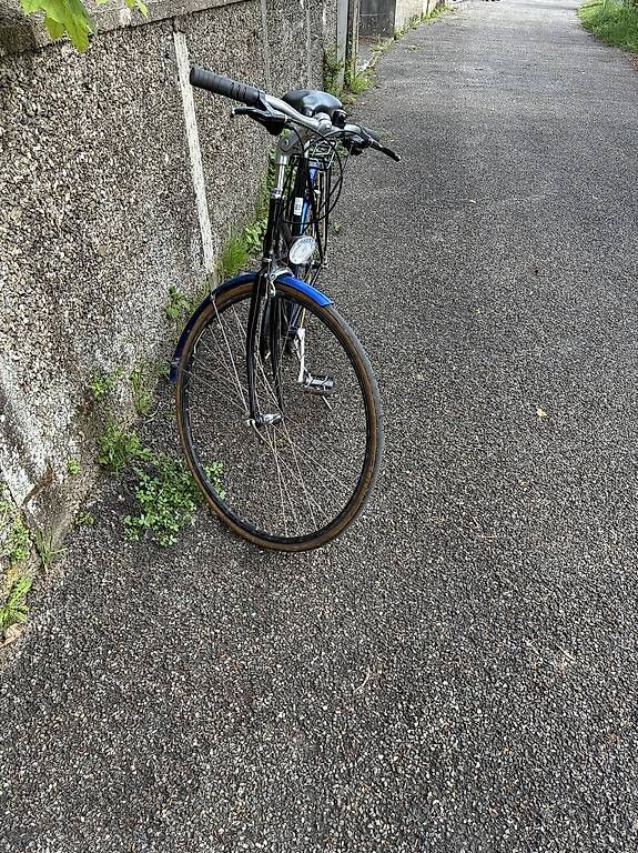 Biciclette: Velo Marke Brino – Usato da Birsfelden venduto da severinio 3