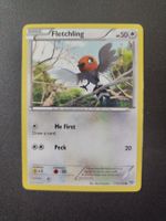 Fletchling 113/146 Pokémon XY Base Set 2014 (EN) ab 1.-