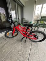 Flizzi 20 Zoll