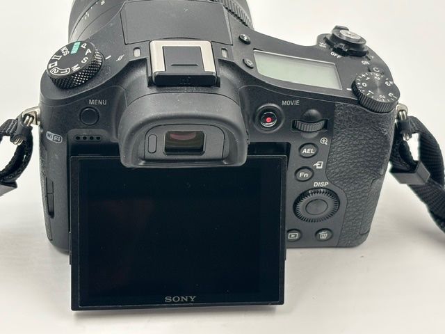 Sony Kamera: Sony DMC-RX10 / RX10 I / Mark 1 – Gebraucht aus Seewis Dorf von Plebejus 7