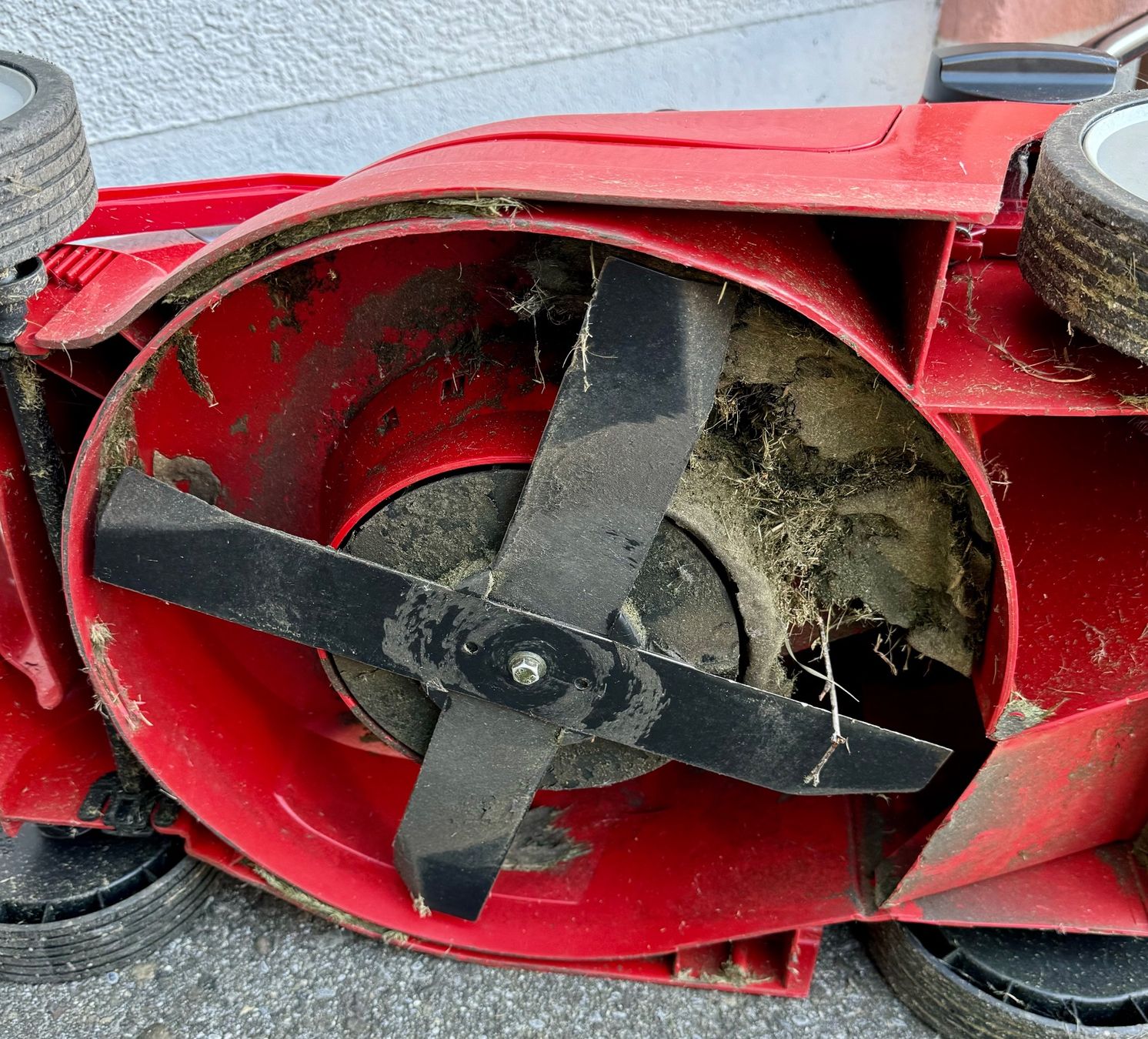 Wolf Garten Rasenmäher: Wolf Garten Expert 37 Elektro-Rasenmäher – Gebraucht aus Root von  7