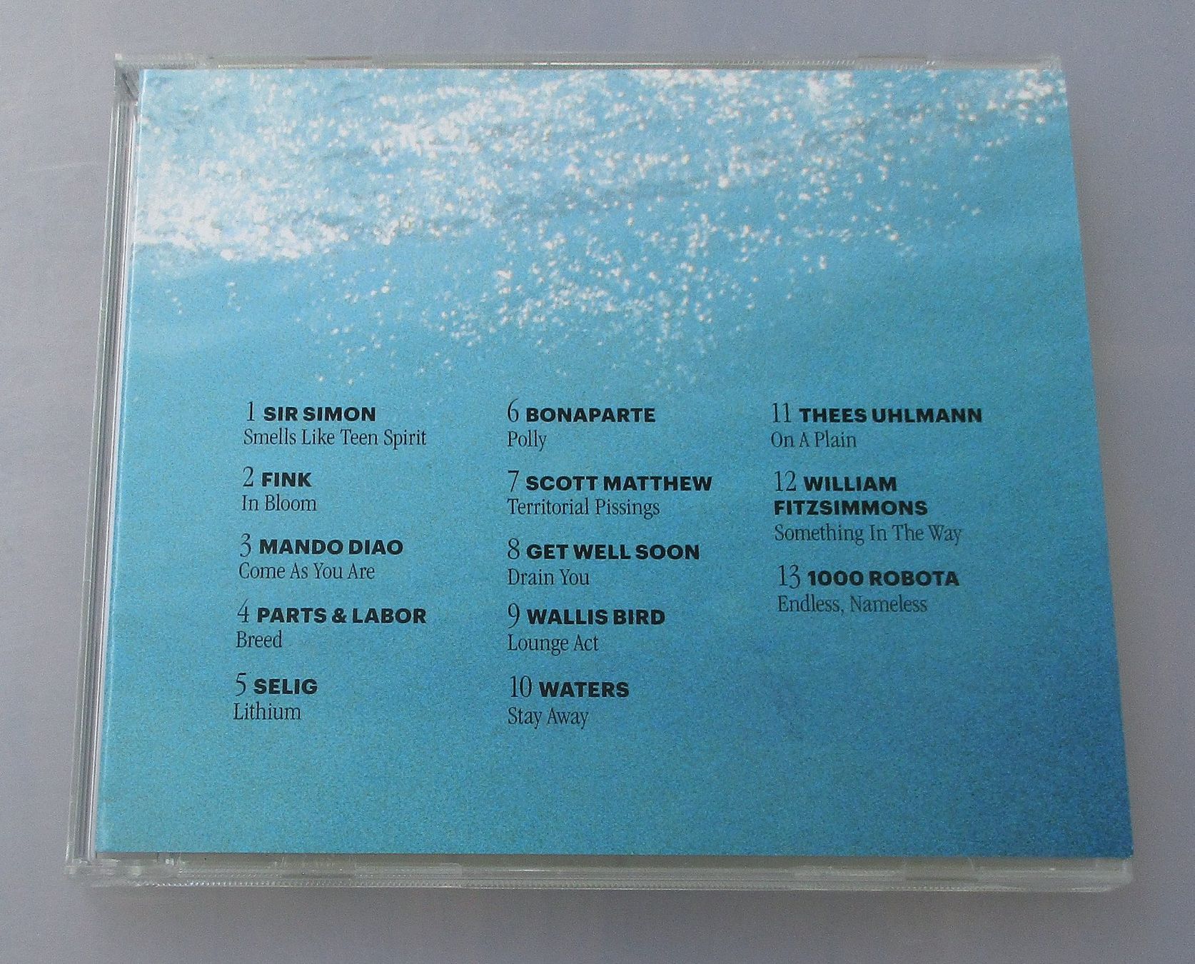 CD: A TRIBUTE TO NEVERMIND - Nirvana Tribute – Usato da Wattwil venduto da Muriel11 1