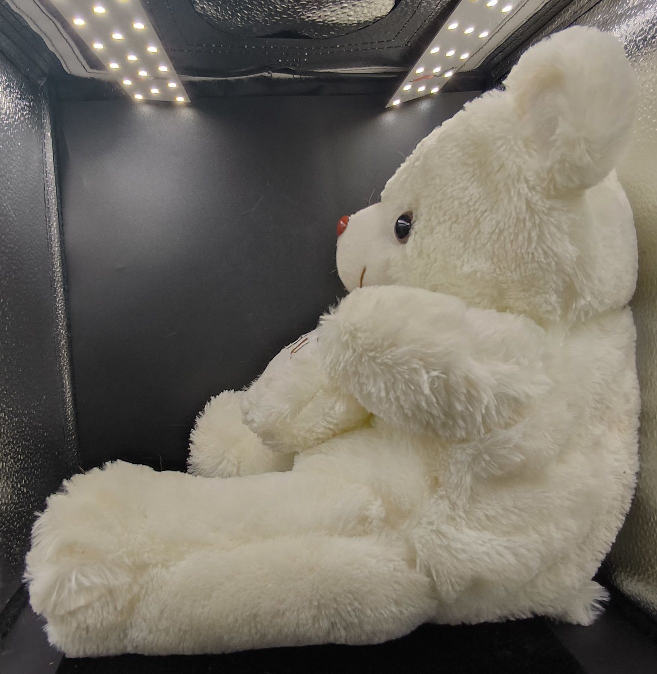 Spielzeuge: Plüsch-Teddybär mit Herz – Gebraucht aus Rorschacherberg von snOOpydOg11 4