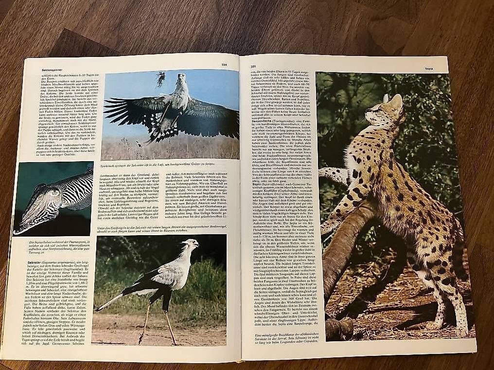 Libri: Das grosse farbige Tierlexikon – Nuovo (secondo la descrizione) da Oberrohrdorf venduto da Augustus5 1
