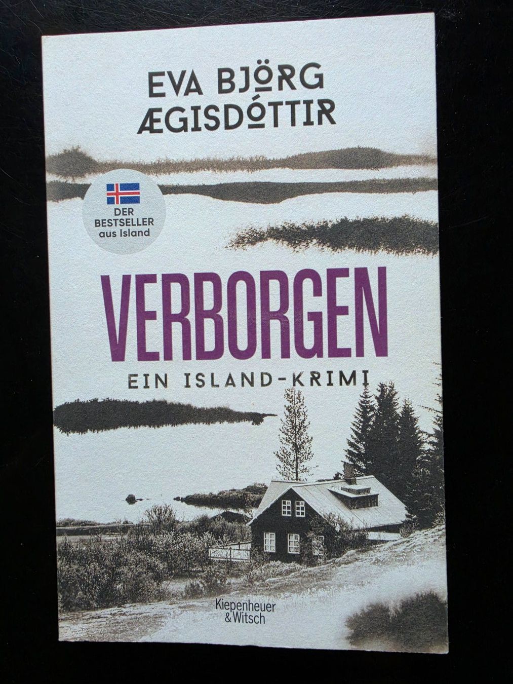 Libri: Eva Björg Aegisdottir     Verborgen – Usato da Arosa venduto da horseracing