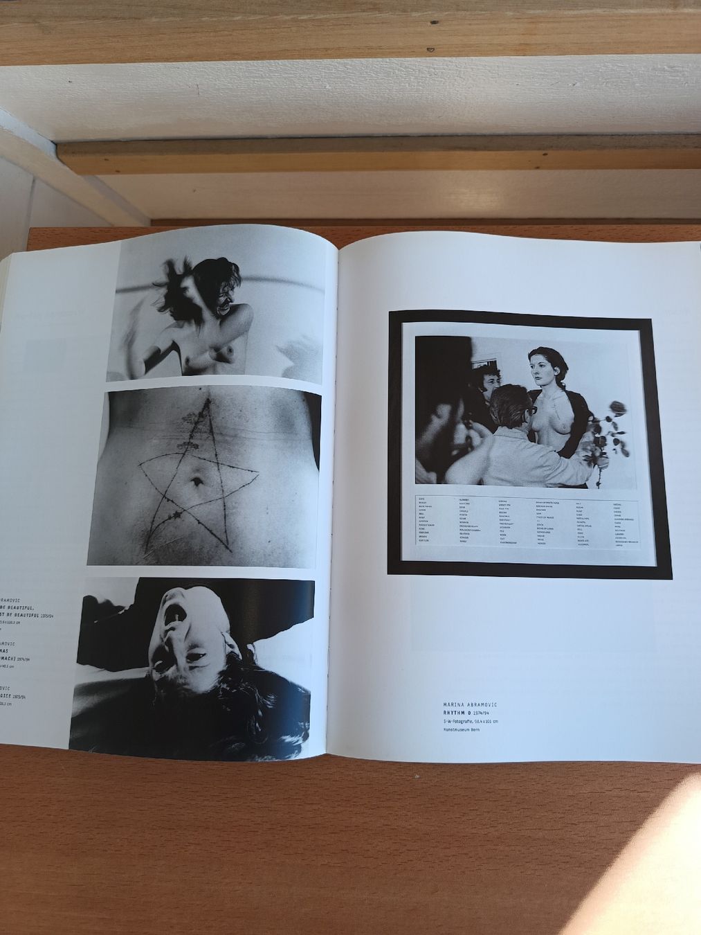 Livres: The Missing Link Fotoband Kunstmuseum Bern – D'occasion à Steffisburg par zulg03 6
