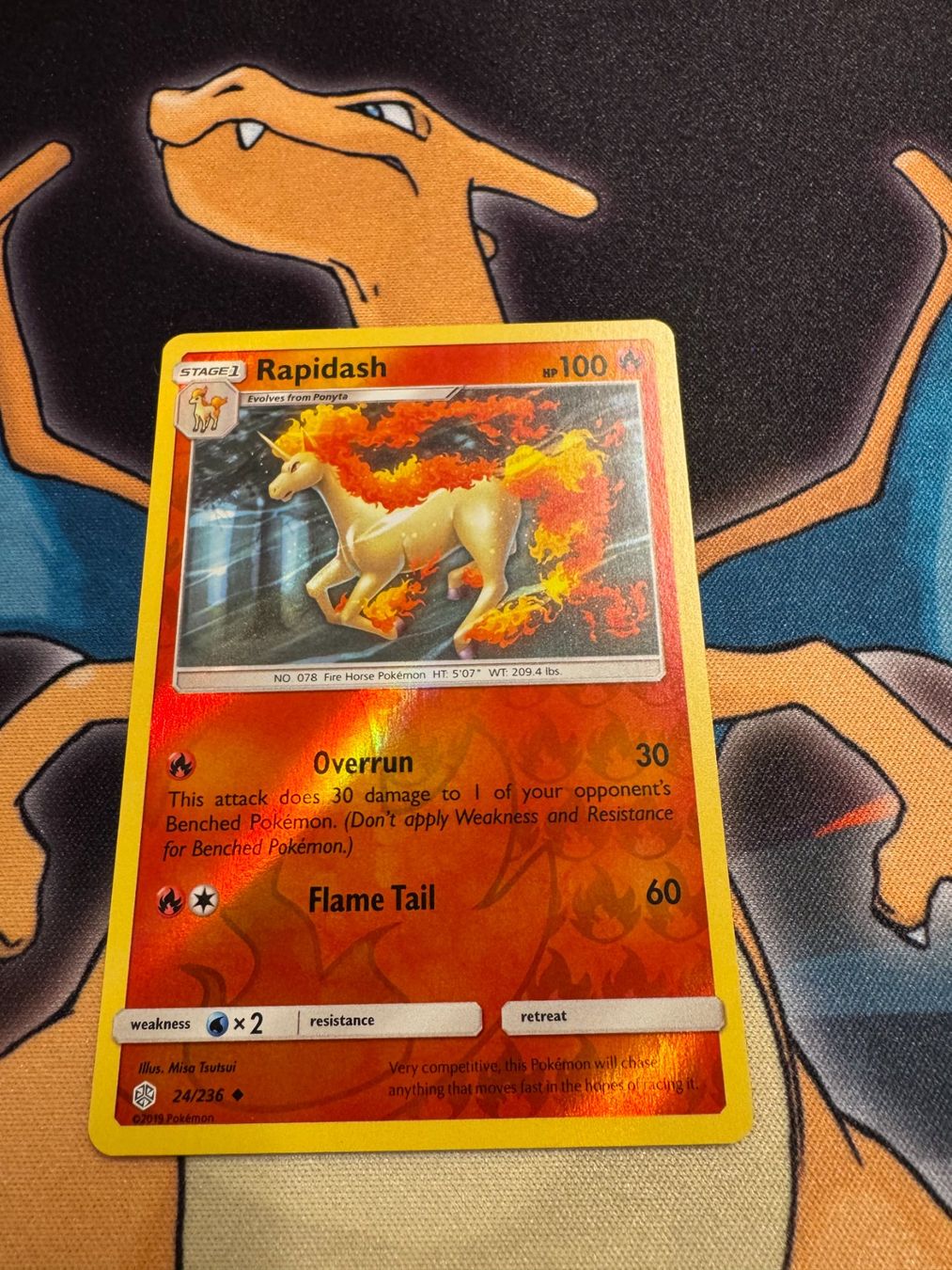 Pokémon Carte collezionabili: Rapidash (CEC 24) - Reverse Holo - Cosmic Eclipse – Nuovo (secondo la descrizione) da Bülach venduto da Pfrenzel