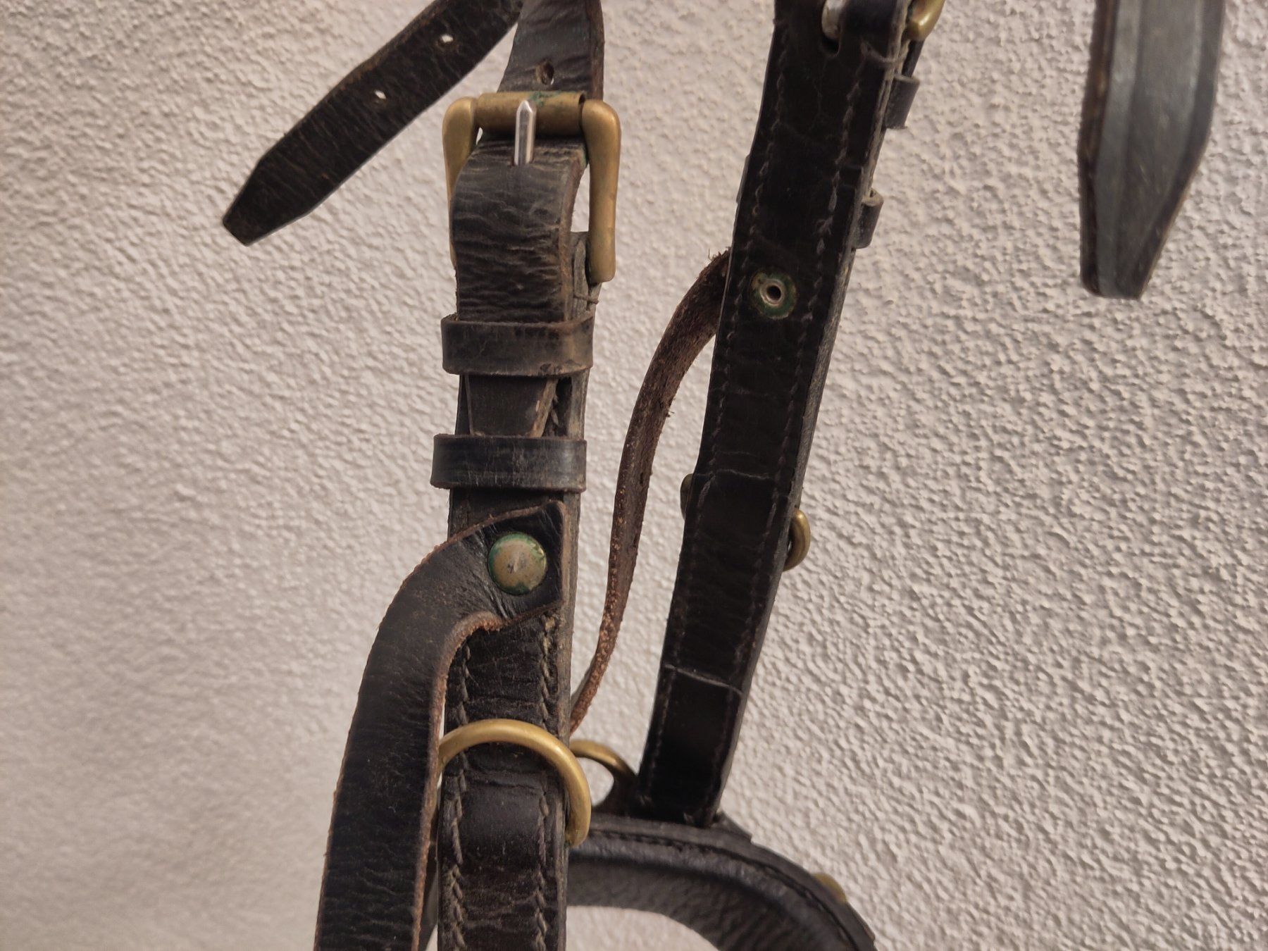 Zaumzeug & Halfter: Kappzaum Leder mit Bronzeelementen – Full – Gebraucht aus Zürich von Bischosa 5