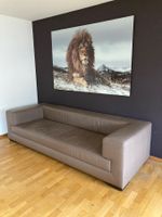 🦁 Wunderschönes XXL-Glasbild „Löwe“ – 180 x 200 cm