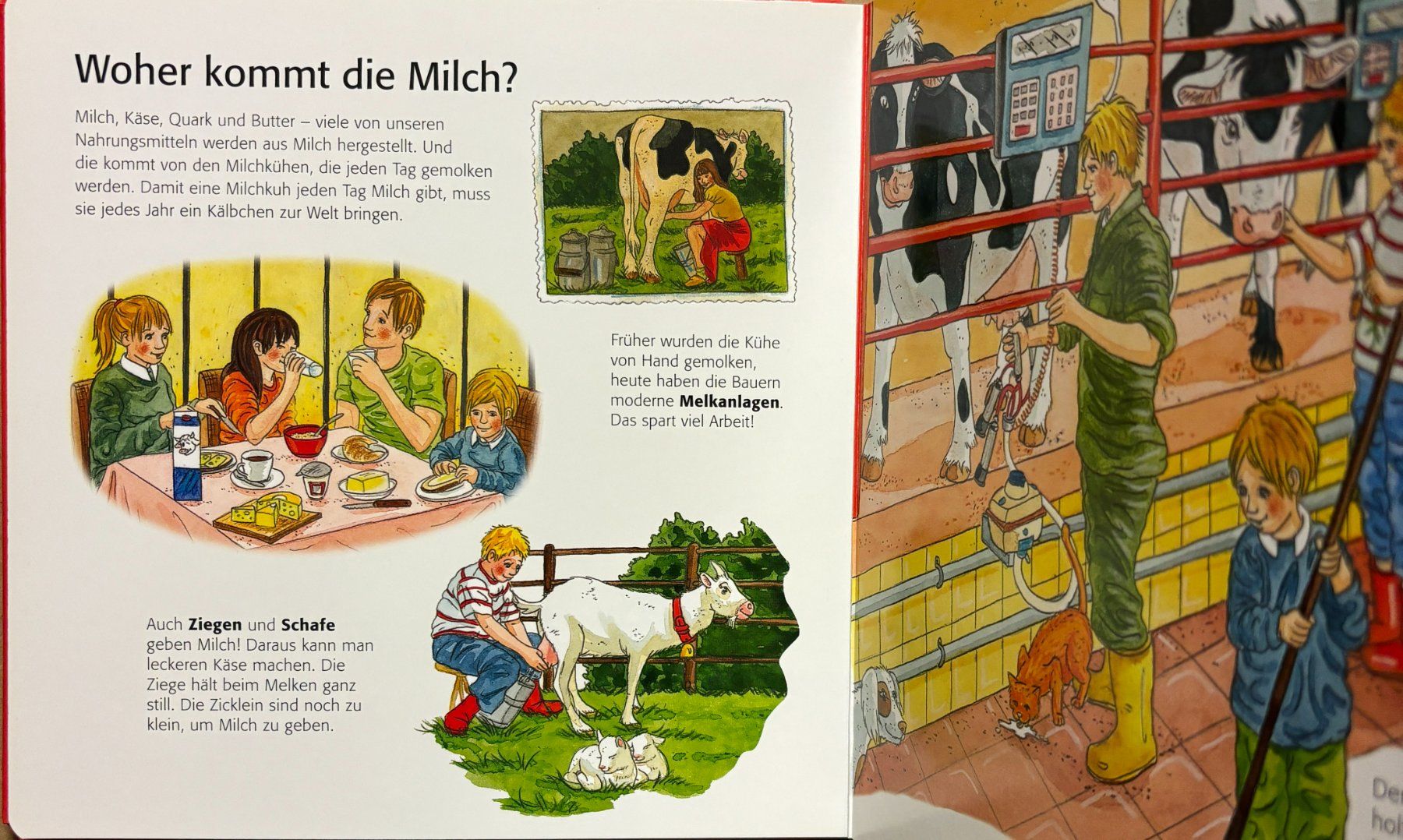 Bücher: Wagner Maja, Kinder entdecken den Bauernhof – Neu (gemäss Beschreibung) aus Sarnen von Livres 3