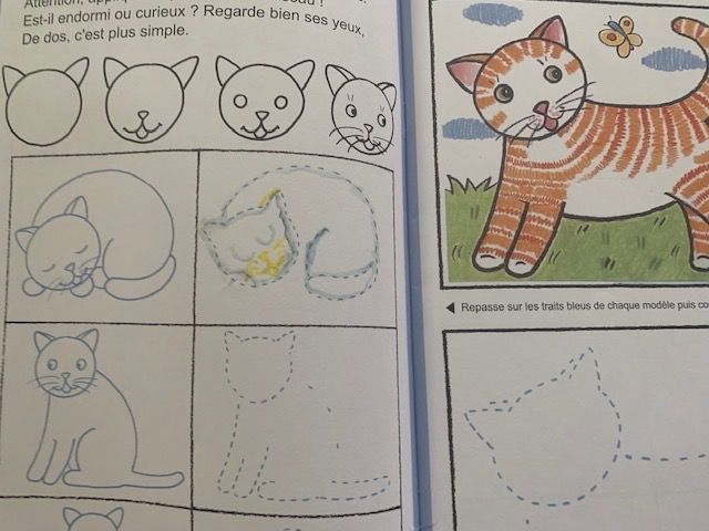 Libri: Tiere malen lernen Malhefte / Hefte – Usato da Beromünster venduto da msklef 2