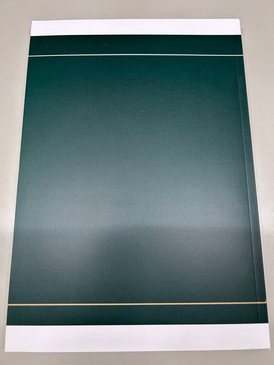 Libri: ARVI - "Home is where the Wine is" – Usato da Giubiasco venduto da LorisVale 1