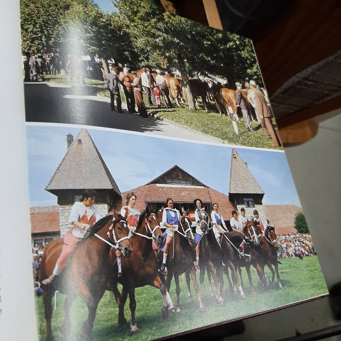 Libri: Schweizer Kantone ( Jura) – Usato da Zürich venduto da Schoebi19 9