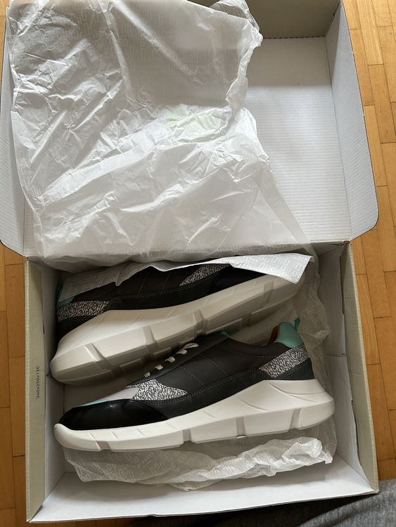 Ted Baker Scarpe da uomo: New!Ted Baker Enriul Sneakers, Size:43,UK:9, USA:10 – Nuovo e nell'imballaggio originale da St Gallen venduto da kon_2nnp 4