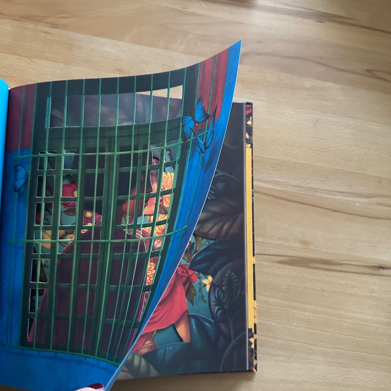 Libri: FRIDA - Benjamin Lacombe, Sébastien Perez – Nuovo (secondo la descrizione) da Sax venduto da kaulquappe01 2