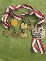 Hundemedailien