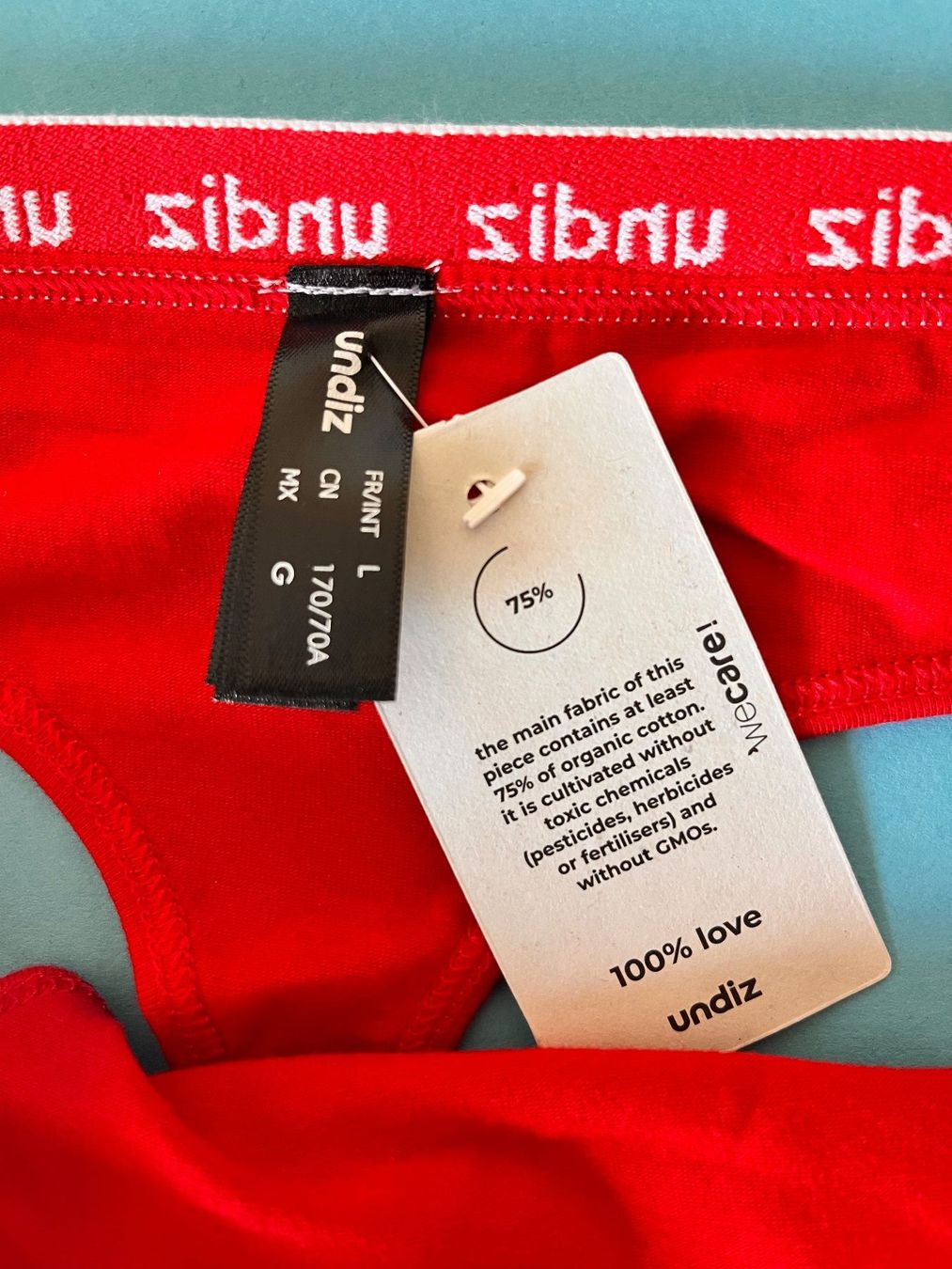 Sonstige Unterwäsche: String, UNDIZ, Grösse L, Farbe Rot – Neu und originalverpackt aus Rudolfstetten von gst_g7xl 1